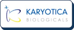 karyotica